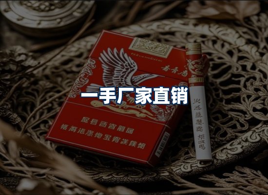 专业团队办公环境